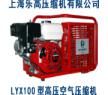 LYX100A