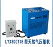 LYW300T18天然气压缩机