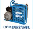 LYX100SA2